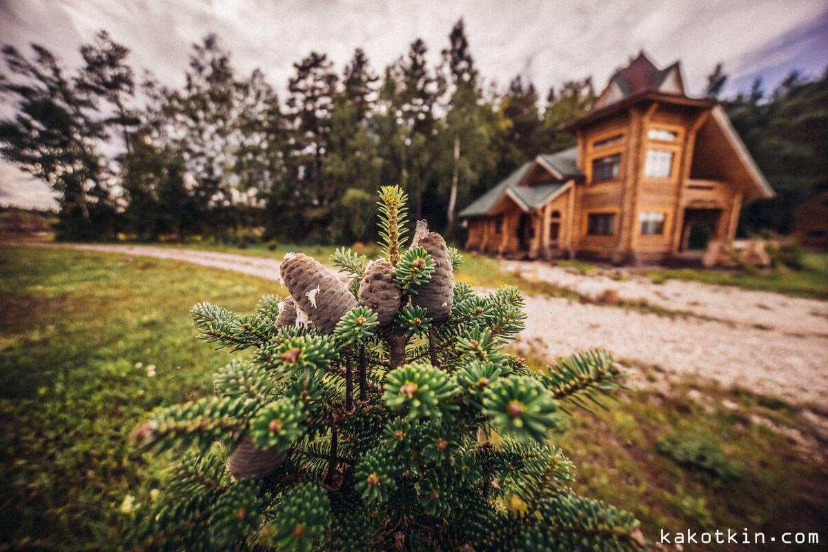 Загородный комплекс отдыха Терема в Твери, усадьба Терема.