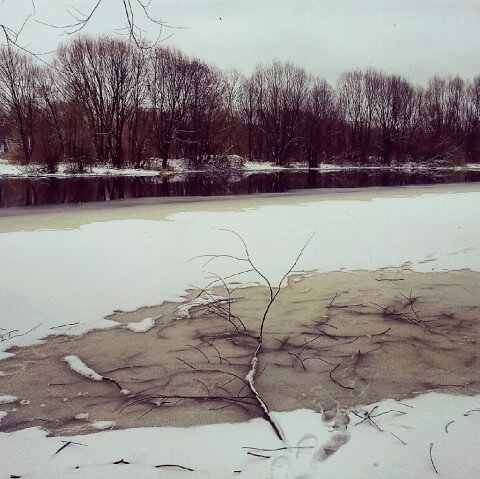 Река. Лед. Ветки