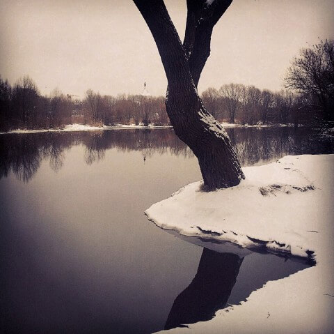 Река. Снег. Дерево
